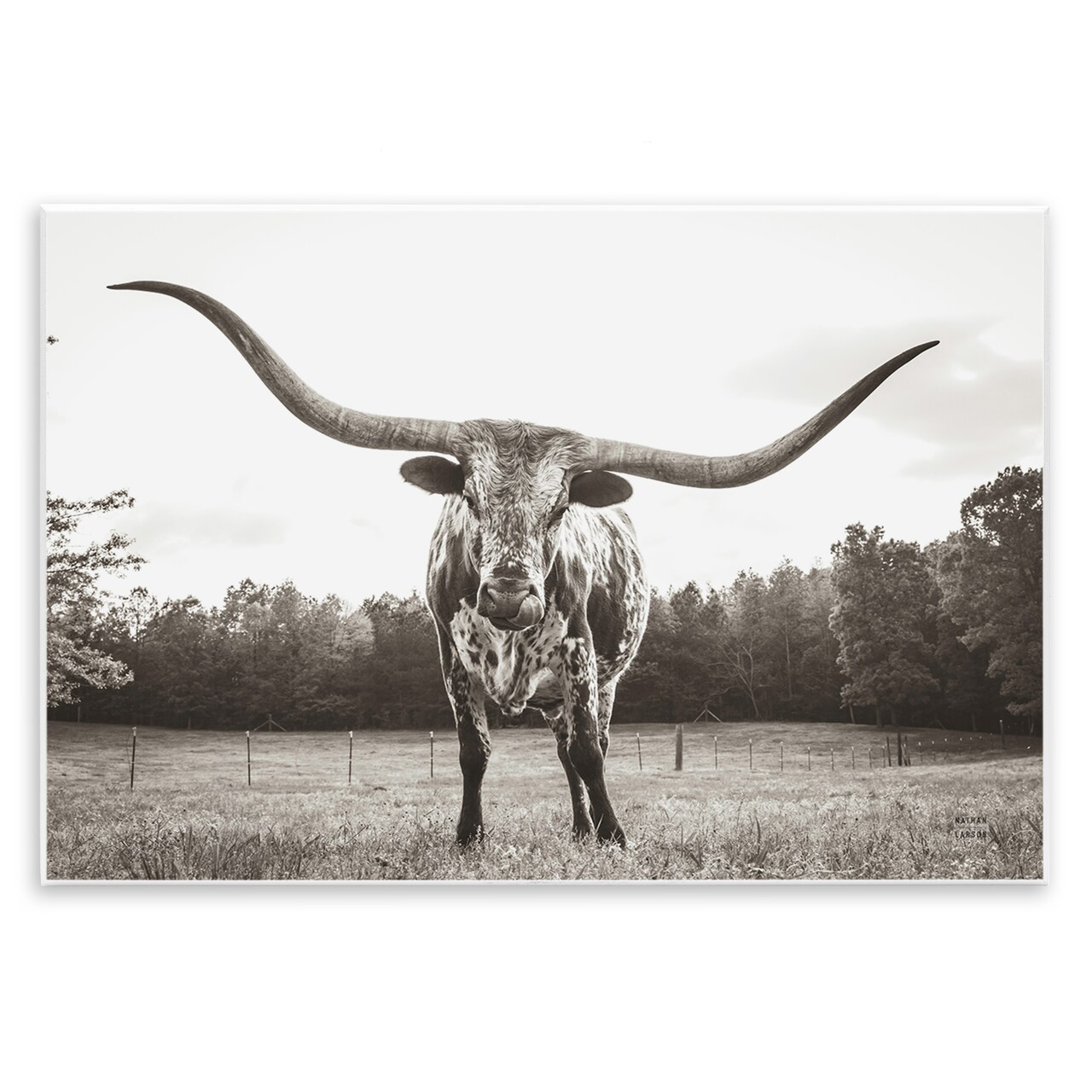 Stupell Industries Longhorn Licking Lips Wall Plaque Art Design by Nathan Larson